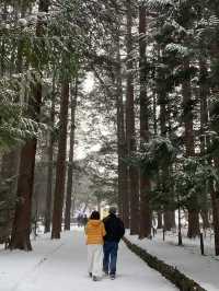 Snowy shrine in Hokkaido 