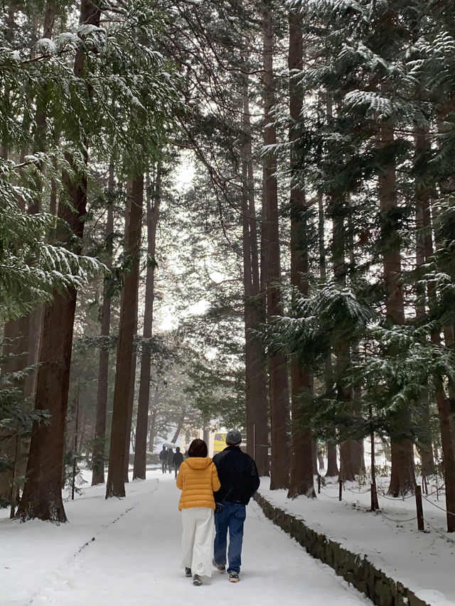 Snowy shrine in Hokkaido 