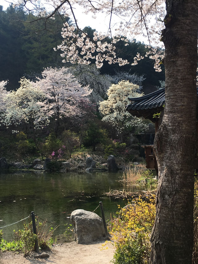 봄의 수목원