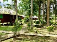 A misty silence: retreating into the woods of Sungai Lembing