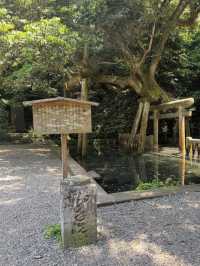 🦌【茨城・鹿嶋市 鹿島神宮】勝負運アップ＆旅立ちにおすすめの “関東最強パワースポット” 