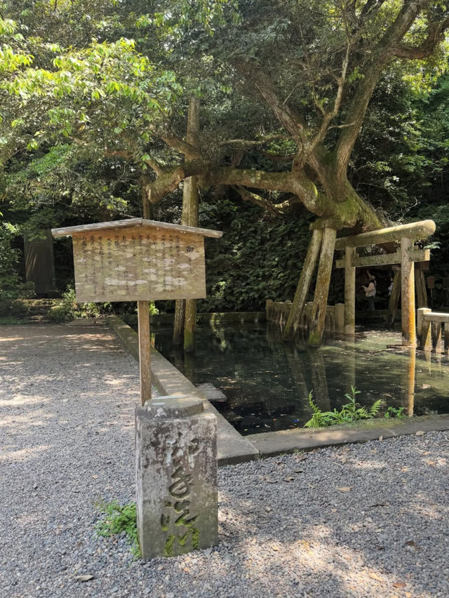 🦌【茨城・鹿嶋市 鹿島神宮】勝負運アップ＆旅立ちにおすすめの “関東最強パワースポット” 