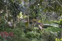 Anna Park Yercaud