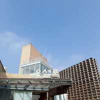 🌿 제주 감성 하루 코스 – 방주교회와 오설록