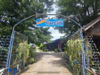 ก๋วยเตี๋ยวทีมชาติ ร้านบรรยากาศดีริมคลอง ปทุมธานี