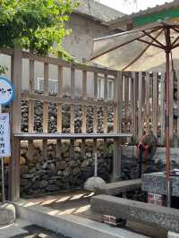 🏝️ 澎湖本島小眾旅行日記｜文化、美食與在地風景一次打包 ！