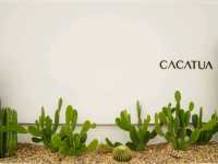 ☕ : Caccatua Cafe คาเฟ่ย่านสนามบินน้ำ นนทบุรี