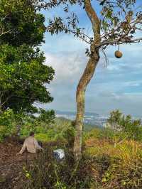 Hiking to Penang’s Hidden Glass House — With a Durian Surprise 