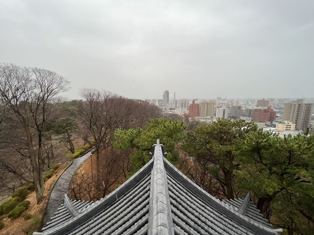 🌧️ Moody Skies Over Kubota Castle Ruins – A Quiet Slice of History