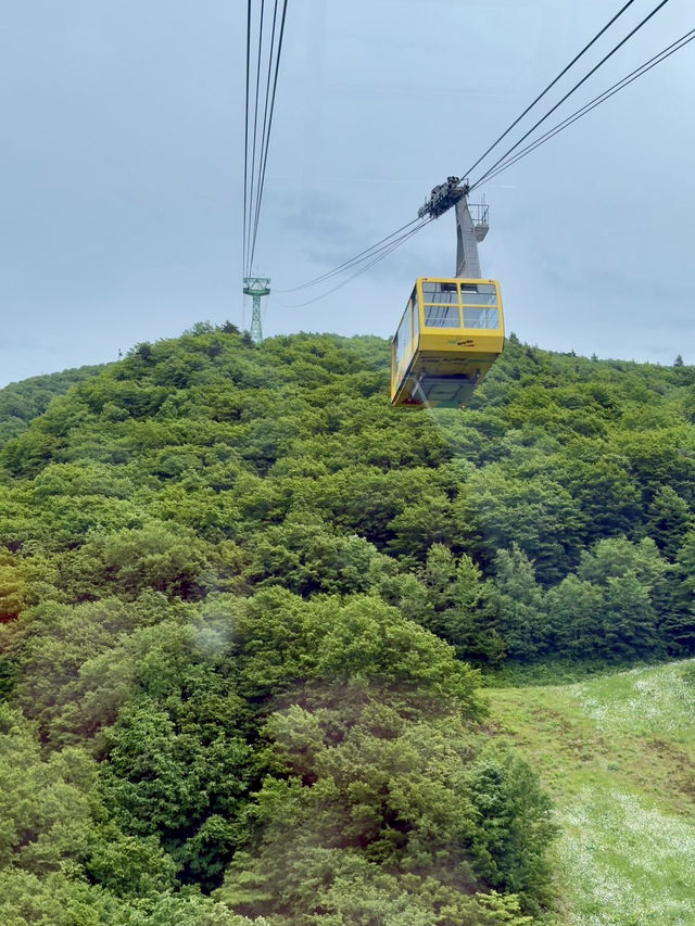 ♨️🏔️ Zao Onsen (蔵王温泉): A Winter & Summer Wonderland in Yamagata