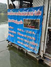 พายเรือพักผ่อนชมธรรมชาติที่อ่างเก็บน้ำวังบอน! 