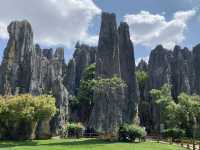 Must Visit - Magical Sone Forest Yunnan , UNESCO site 
