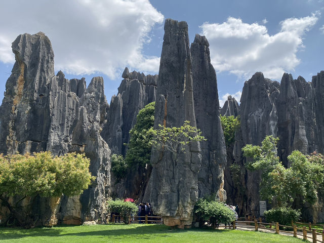 Must Visit - Magical Sone Forest Yunnan , UNESCO site 