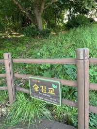 7코스 둘레길을 걸으며 