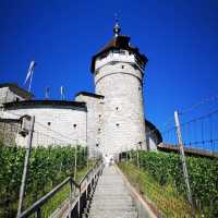🏰✨ Summer Weekend at Munot Fortress: Schaffhausen’s Vine-Covered Guardian 
