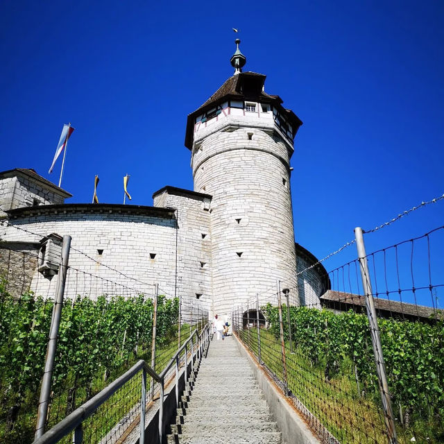 🏰✨ Summer Weekend at Munot Fortress: Schaffhausen’s Vine-Covered Guardian 
