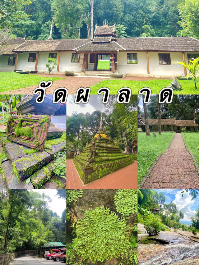 วัดผาลาด 
