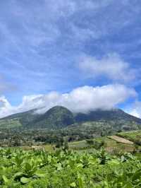 lembahmanah_kopi
