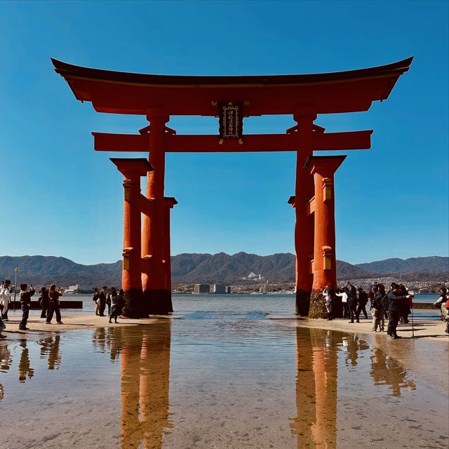 ⛩️ Great Torii Summer Survival Guide