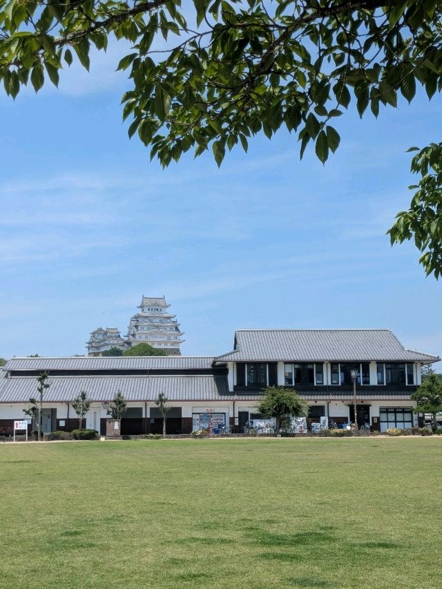 姬路 | 日本國寶名城，宛如百百鷺展翅的姬路城