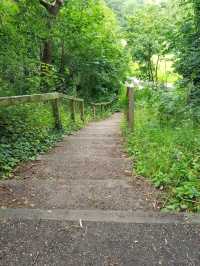 Humberstone Park