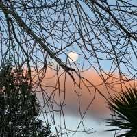 Sunset Serenade: Magical Moments at Lake Te Anau