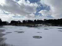青森-蘆野公園（冬季非常推薦）