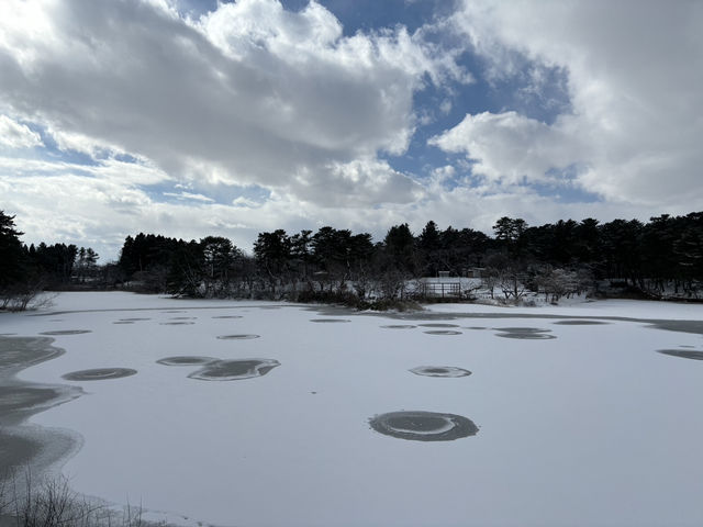 青森-蘆野公園（冬季非常推薦）