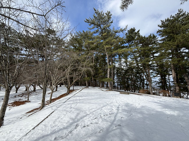 青森-蘆野公園（冬季非常推薦）