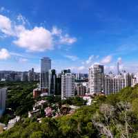 🌆 Xiamen’s Sky High Observatory: Where the City, Mountains & Sea Collide!"