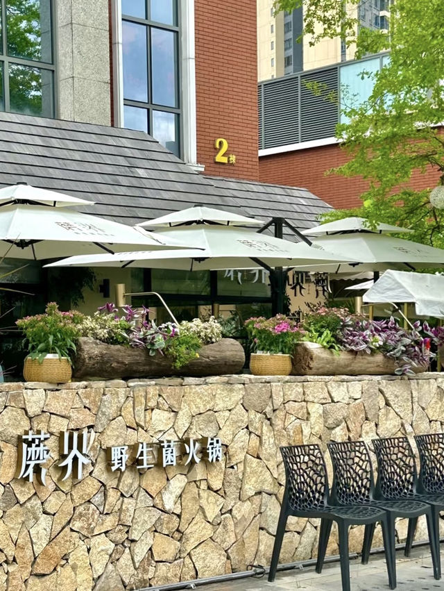 雲南野生菌鍋！高級菇菇盛宴 💕 蘑界·野生菌火锅(珠海首店)