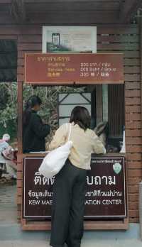 กิ่วแม่ปาน เส้นทางศึกษาธรรมชาติ ใน 1 วัน