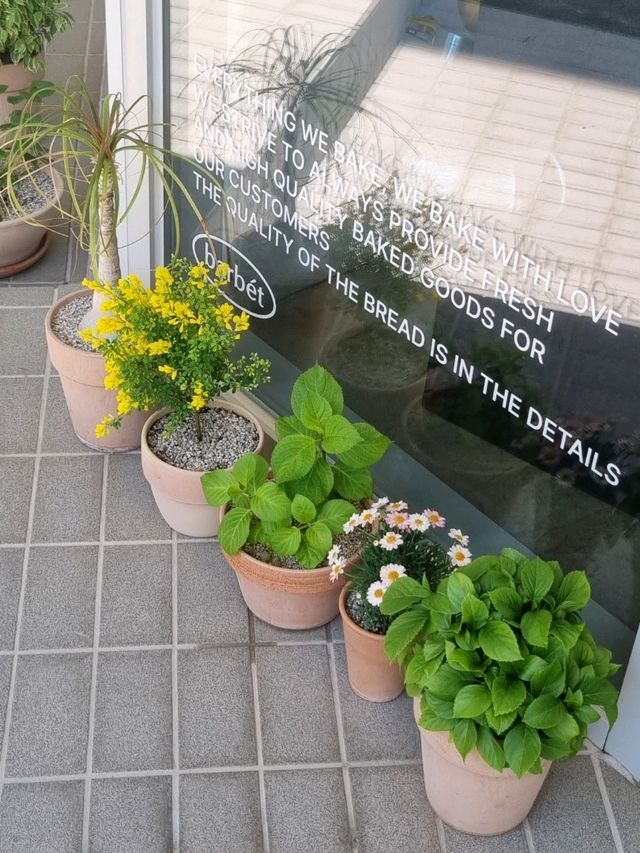 🪴 포항 효자동 푸릇푸릇한 초록 감성카페 "바르벳"