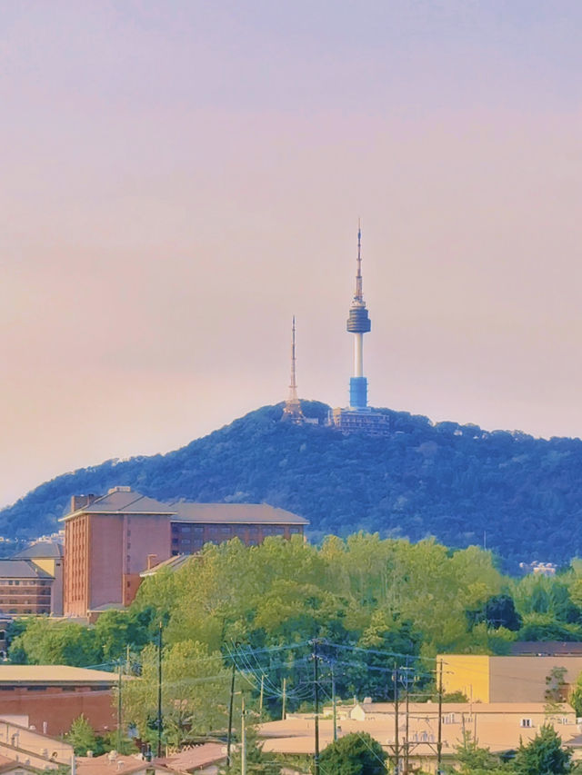 남산 뷰를 볼 수 있는 용산공원 반환부지