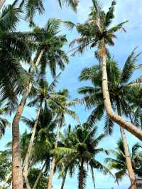 Tiny Paradise: Guyam Island