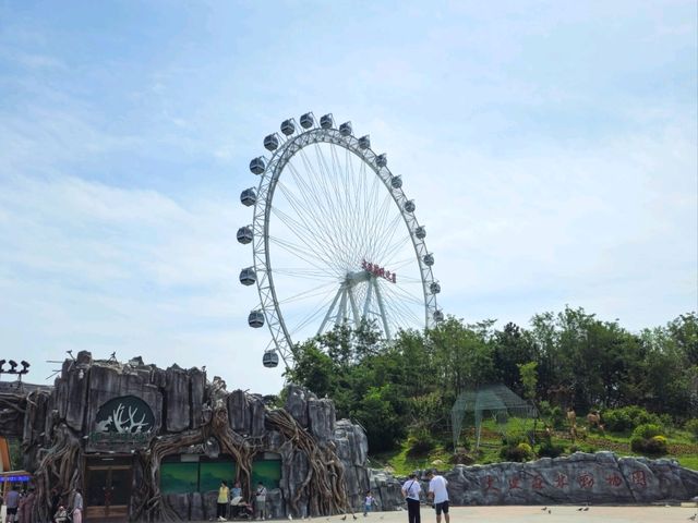 대련 삼림동물원 꿀팁!