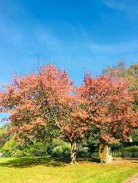 Alexandra Gardens 