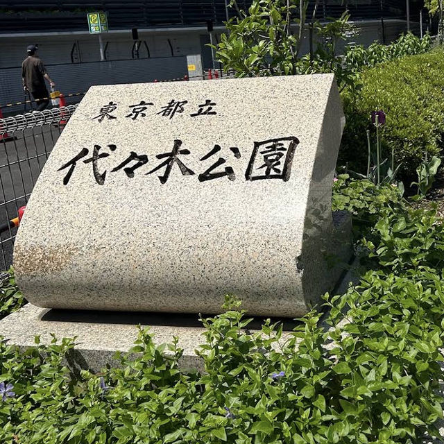 【東京/代々木🇯🇵】都会でリラックスするなら😌代々木公園