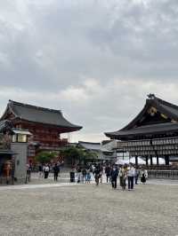 🍃 Hidden Kyoto: Zen Gardens & Tree Views