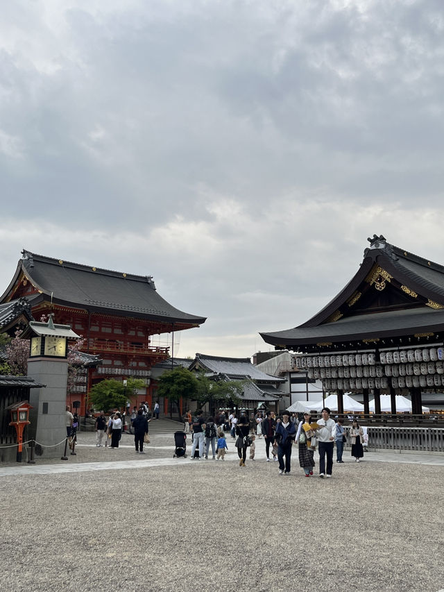 🍃 Hidden Kyoto: Zen Gardens & Tree Views