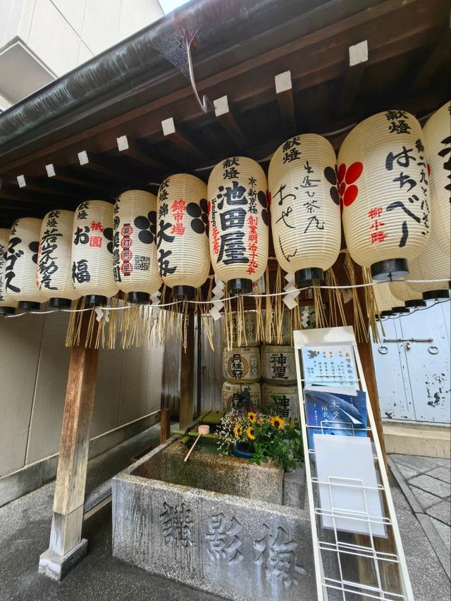 去京都摸下發達牛