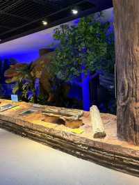 National Children's Science Center, Seoul – Fun & Learning Under One Roof