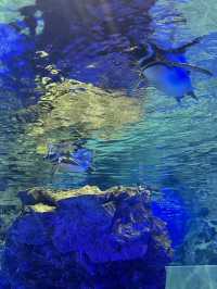 Sumida Aquarium🐠
