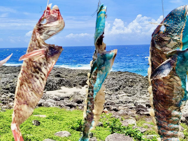 感受離島之美～蘭嶼看海賞岩石