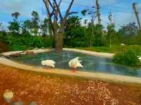 Splash into colors at Crimson Wetlands!