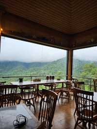 First Valley Coffee Estate | Chiangmai 