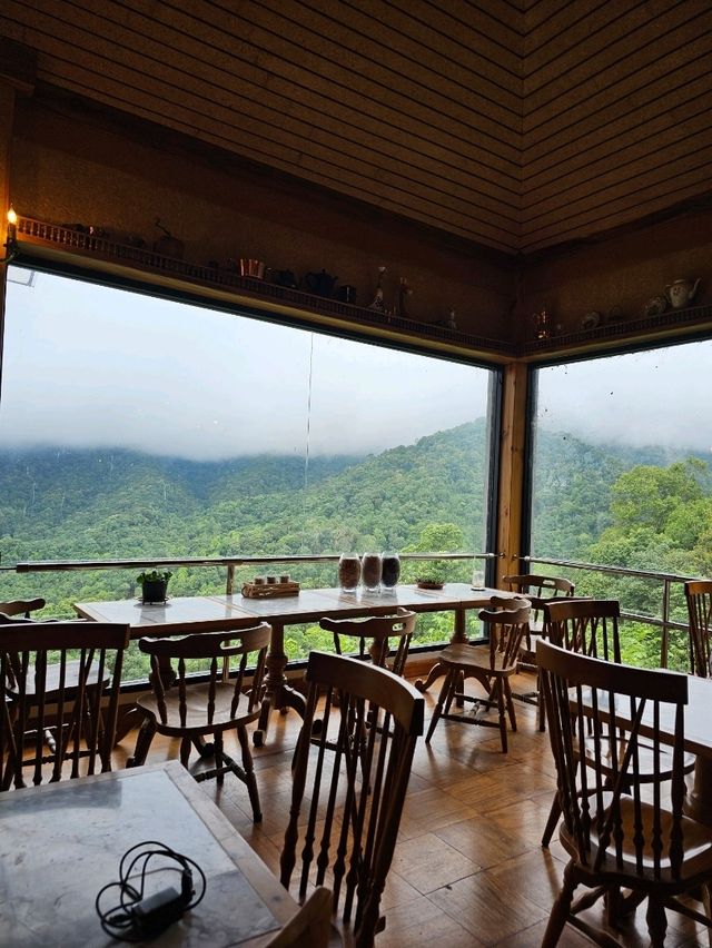 First Valley Coffee Estate | Chiangmai 