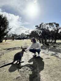Moonlit Sanctuary Wildlife Conservation Park 
