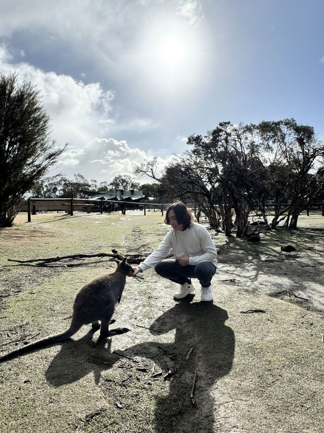 Moonlit Sanctuary Wildlife Conservation Park 