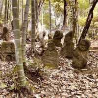 🌿 Secret Kyoto Escape: Sekiho-ji Temple – Fushimi Inari’s Quiet Neighbor